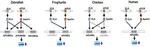 Characterization of the Apelin/Elabela Receptors (APLNR) in Chickens, Turtles, and Zebrafish: Identification of a Novel Apelin-Specific Receptor in Teleosts