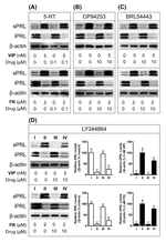 Molecular Cloning and Functional Characterization of Three 5-HT Receptor Genes (HTR1B, HTR1E, and HTR1F) in Chickens