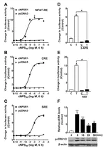 Neuropeptide S (NPS) and its receptor (NPSR1) in chickens: cloning, tissue expression, and functional analysis