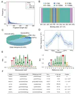 Genome-wide mapping of the binding sites of myocyte enhancer factor 2A in chicken primary myoblasts