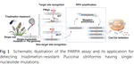 Pyrococcus furiosus Argonaute-Mediated Dual-Recognition Enables the Detection of Trace Single-nucleotide-Mutated Fungicide-resistant Fungal Pathogens