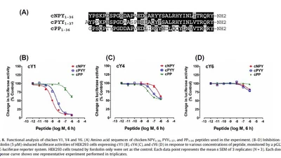 Molecular characterization of neuropeptide Y (NPY) receptors (Y1, Y4 and Y6) and investigation of the tissue expression of their ligands (NPY, PYY and PP) in chickens featured image