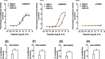 Characterization of neuromedin U (NMU), neuromedin S (NMS) and their receptors (NMUR1, NMUR2) in chickens featured image