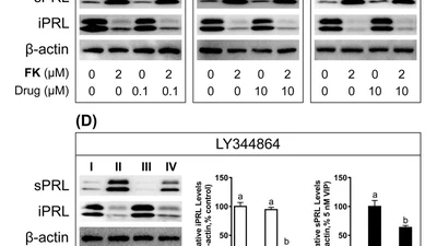 Molecular Cloning and Functional Characterization of Three 5-HT Receptor Genes (HTR1B, HTR1E, and HTR1F) in Chickens featured image