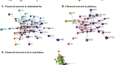 A gene expression atlas of Lohmann white chickens featured image